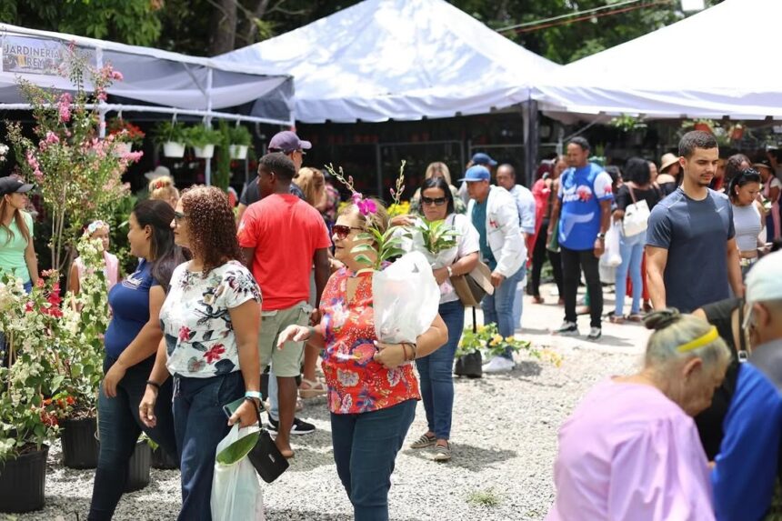 Jarabacoa celebra 15 años del Festival de las Flores con récord de visitas